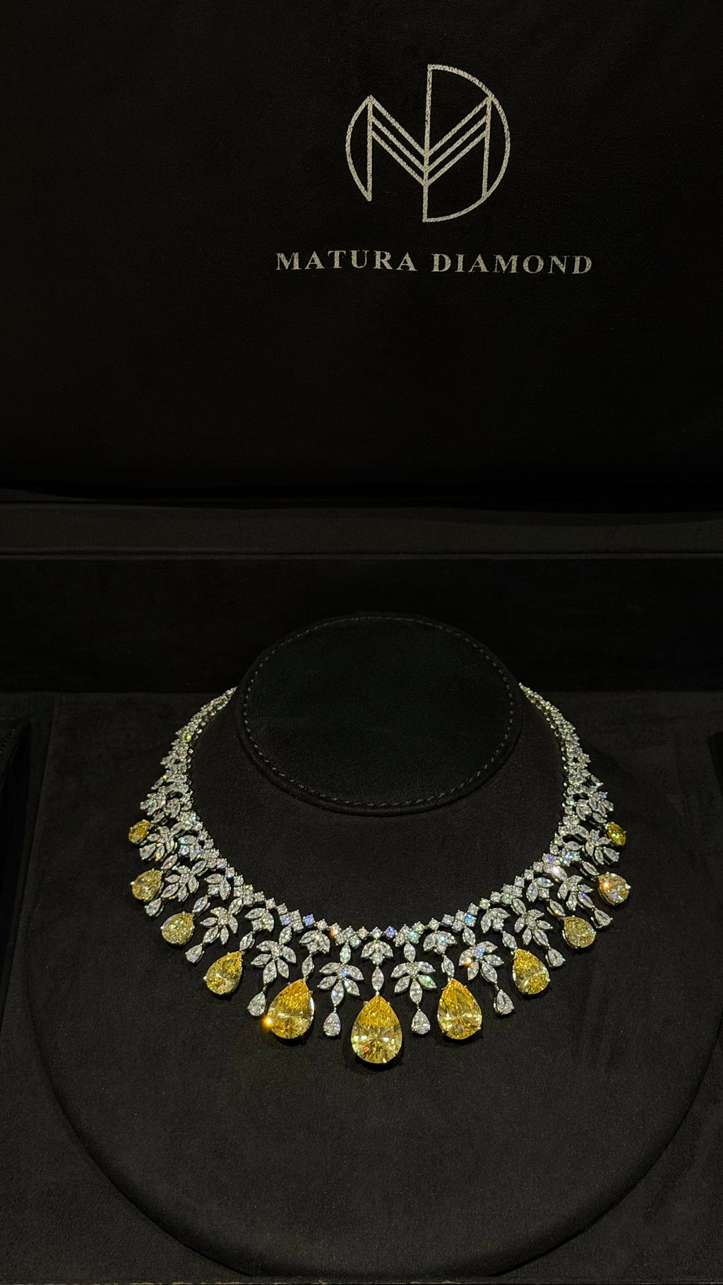 ALWEGAN | YELLOW