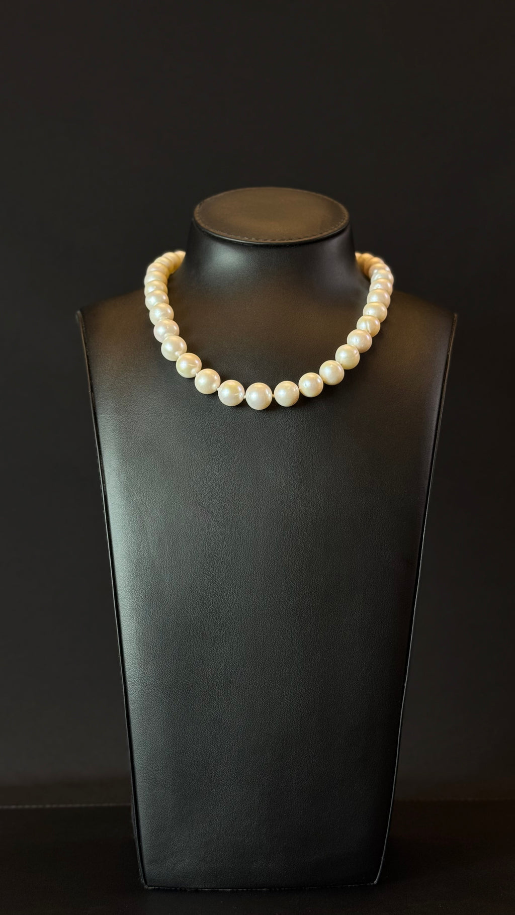 PEARLS 010 | WHITE