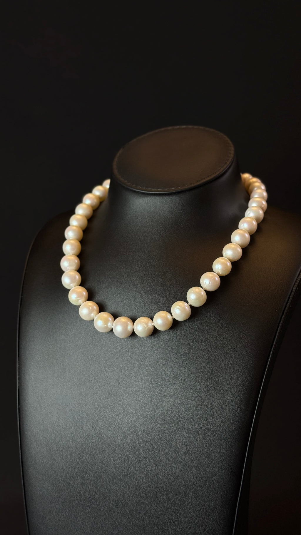 PEARLS 010 | WHITE