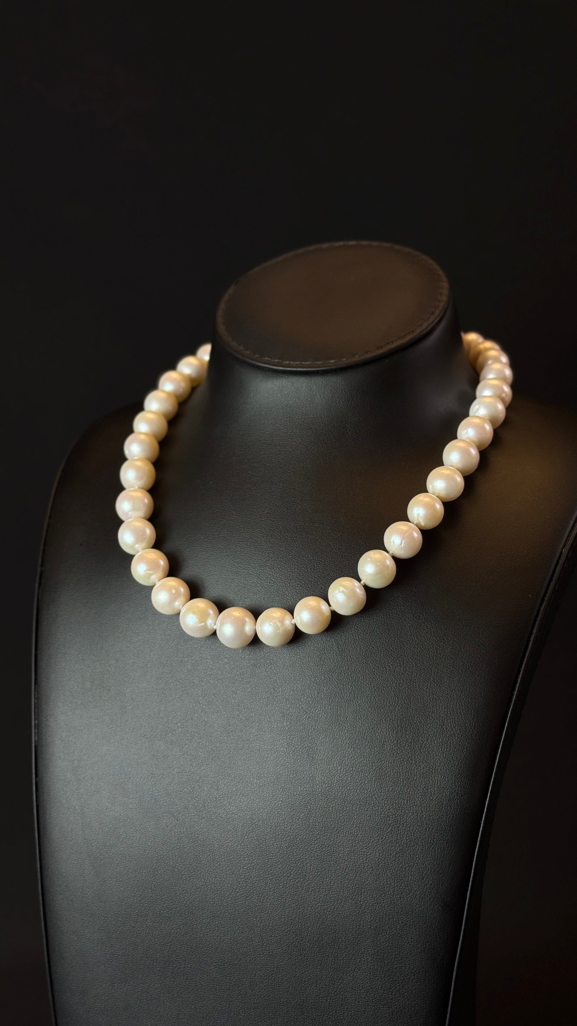 PEARLS 010 | WHITE